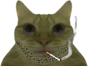 :chatcig: