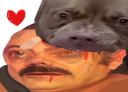:Il_est_gentil: