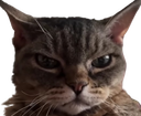 :Barbara: