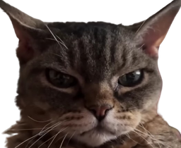 :Barbara: