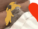 :Chadorlove1: