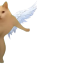 :SaintMinou2:
