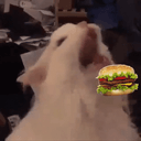 SalePetiteP