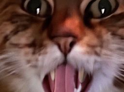 :chat_zoom_rrr: