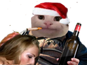 :Chat_noel_pipe: