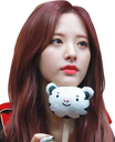 :bona_panda: