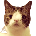 :trisochat: