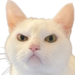 :Chat_fache_4:
