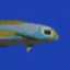 Photo de profil de Praioven