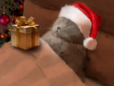 :ChadortNoel: