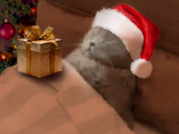 :ChadortNoel: