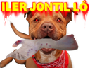 :iler_jontil: