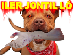 :iler_jontil: