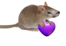:chatsourisCoeur: