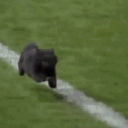 :ronaldochat: