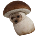 :uongipneihc: