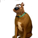 :scoobidoo: