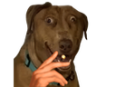 :clope-tarax:
