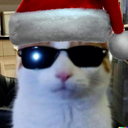 :chatnoellunette: