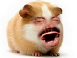 :euchou: