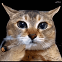 :Chat_fume_weed: