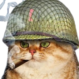 :Chat_soldat_: