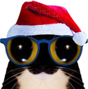 :chat_lunettes_bonnet2:
