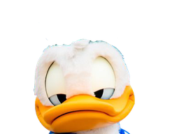 :canardgauche: