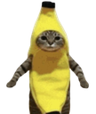 :boujou: