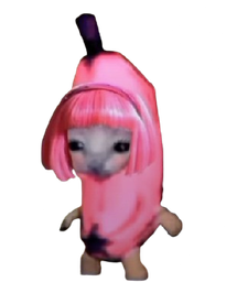 :chananeFillent: