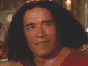 :merci_mdr_arnold: