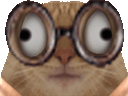 :chat_zinzolin: