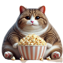:gato4: