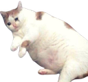 :Chatkebab:
