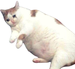 :Chatkebab: