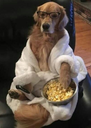 :goldencinema: