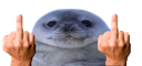 :Phoque_you: