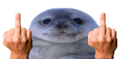 :Phoque_you: