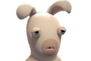:lapin_triste: