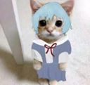 :Chatrei: