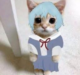 :Chatrei: