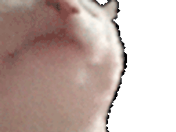 :chat_danse2: