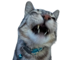 :CS_NRV: