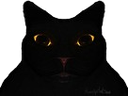 :chatdark: