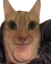 :Chat2ouf: