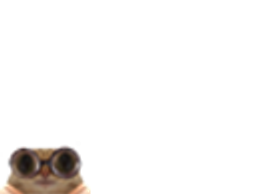 :chat_lunettespetit: