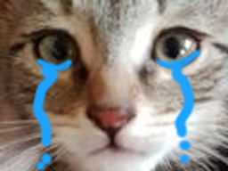 :eden_pleure: