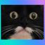 Photo de profil de PUITsansFOND