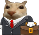 :chat_travail: