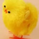 Poussin